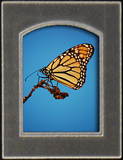 600'ün üzerinde paspartu çeşidimiz bulunup bilgisayar destek makinemizle çeşitli figürleri işlememiz mümkündür.