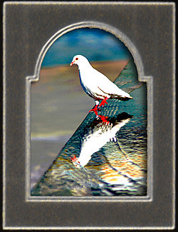 600'ün üzerinde paspartu çeşidimiz bulunup bilgisayar destek makinemizle çeşitli figürleri işlememiz mümkündür.